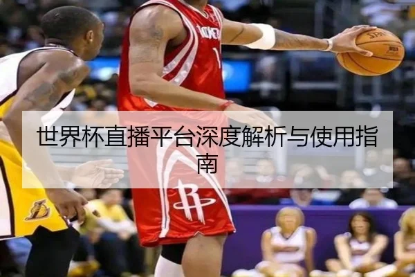 世界杯直播平台深度解析与使用指南